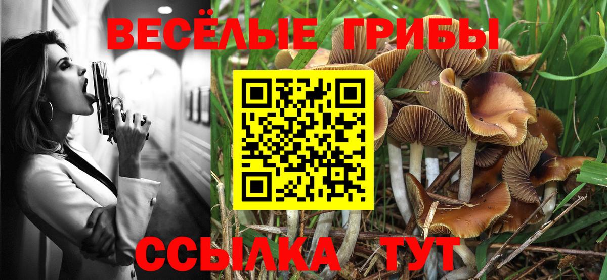 Новозыбков  Псилоцибиновые грибы Psilocybe  Галлюциногенные грибы Magic Shrooms  Вход с VPN 